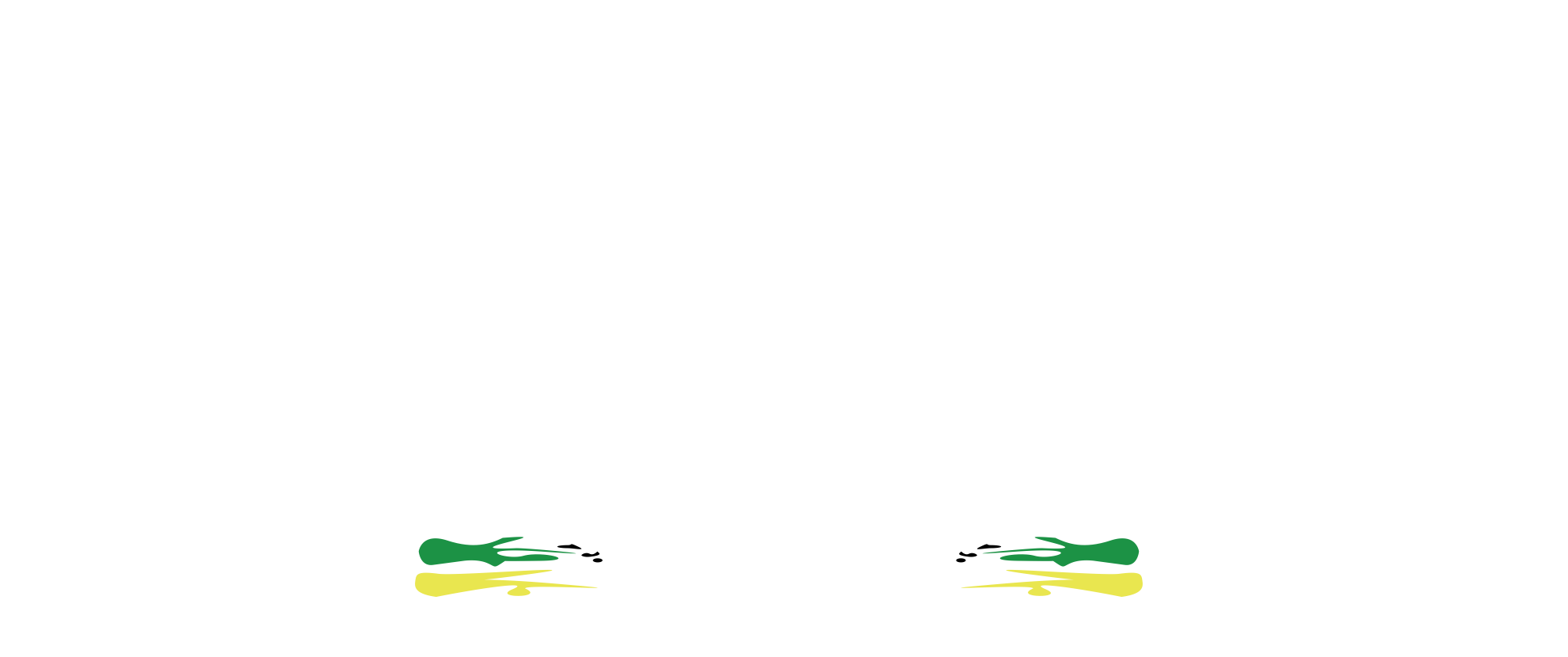 Constrictor Team Lago Norte